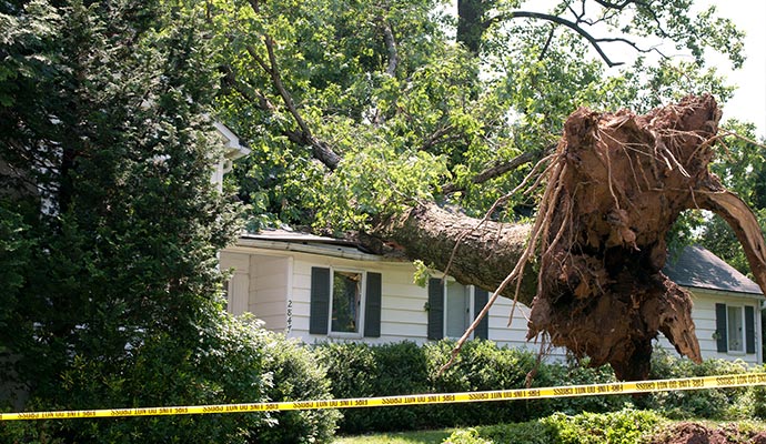 Hurricane Damage Restoration in Baton Rouge & Denham Springs