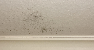 Mold Damage- Mold and mildew cleanup- baton rouge residential