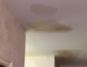 Ceiling Water Damage- Leaky Water Heater In Attic