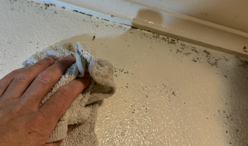 Mold Removal- Mold and mildew cleanup- baton rouge residential