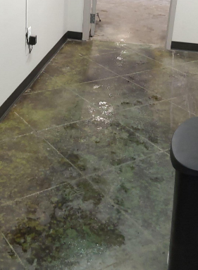 Water Damage- Commercial Water Loss