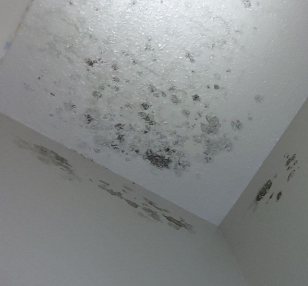 Hayes - water damage restoration, mold remediation. Walker Louisiana