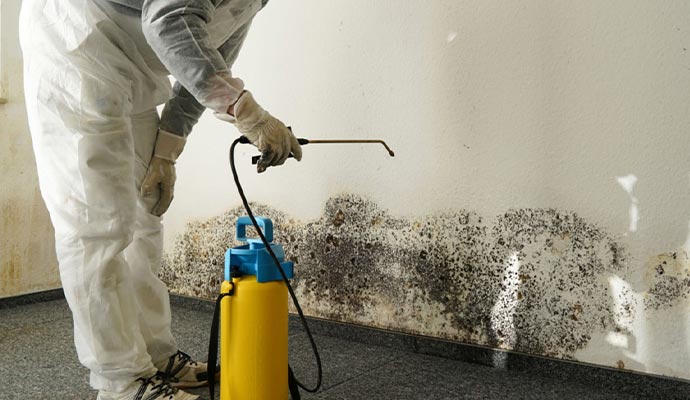 worker cleaning moldy wall