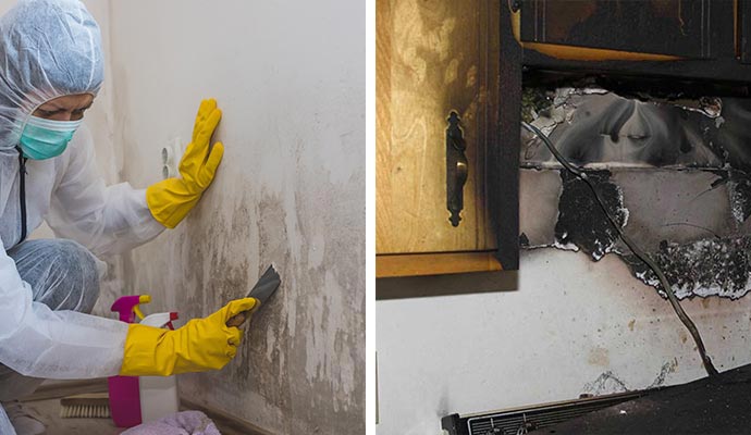 Our professional worker removing mold in Westwego