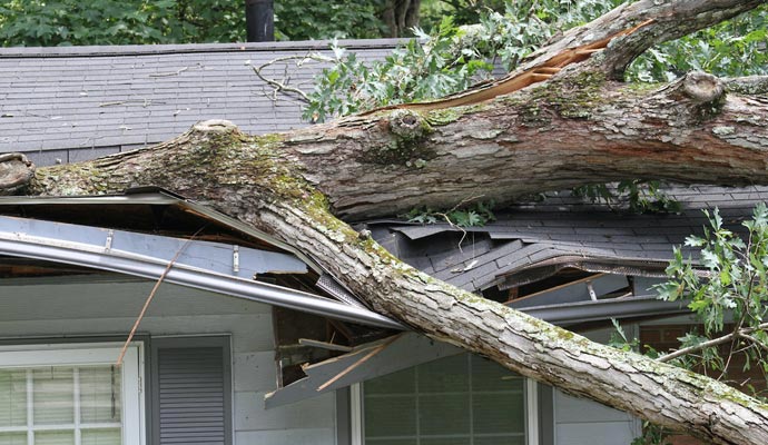 Storm Damage Restoration in Baton Rouge & Denham Springs